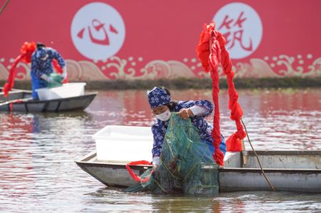 (miniature) Des travailleurs pêchent des écrevisses lors d'un événement célébrant la saison de récolte des écrevisses dans le district de Xuyi
