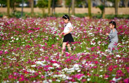 (miniature) Des enfants marchent sur un chemin au milieu des fleurs &agrave; Haikou