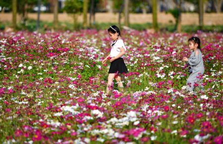 (miniature) Des enfants marchent sur un chemin au milieu des fleurs à Haikou