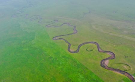 (miniature) Paysage d'une prairie dans la bannière de Dong Ujimqin de la ligue de Xilingol