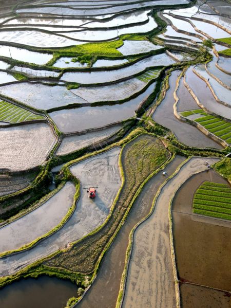 (miniature) Photo a&eacute;rienne d'agriculteurs travaillant dans les champs