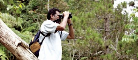 (miniature) Observation ornithologique en Malaisie (Malaisie)