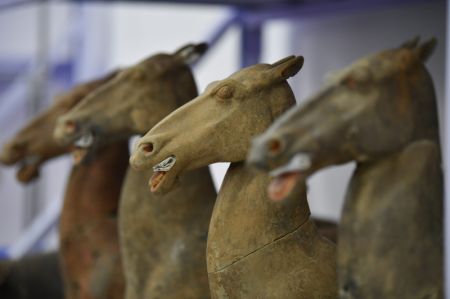 (miniature) D'anciens chevaux en terre cuite ont été déterrés d'un grand mausolée situé dans le village de Jiangcun