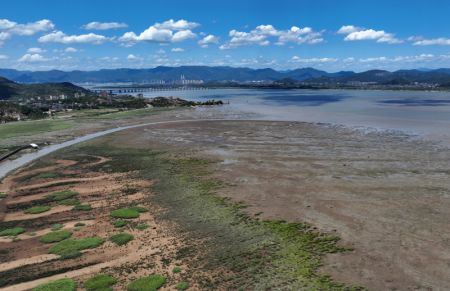 (miniature) Vue de la zone humide de l'estuaire de la rivière Minjiang dans la province chinoise du Fujian (sud-est)