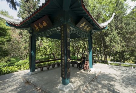 (miniature) Un mélomane joue de la musique dans le parc Zhongshan