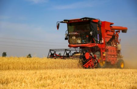 (miniature) Une moissonneuse &agrave; l'oeuvre dans les champs de bl&eacute; de Xisong