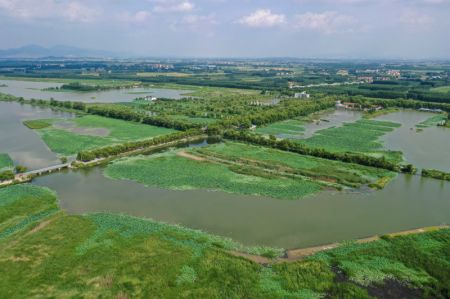 (miniature) Photo aérienne prise le 3 juillet du parc national des zones humides de Baiyunhu