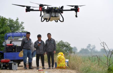 (miniature) Des agriculteurs utilisent un drone pour pulvériser des pesticides sur une rizière dans le district de Nanchang