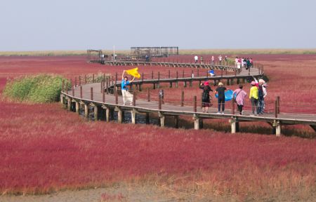 (miniature) La zone touristique de la Plage rouge