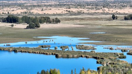 (miniature) Paysage automnal du site touristique du lac Qixing