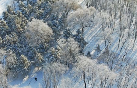 (miniature) Vue aérienne d'un paysage de givre le long de la rivière Hunhe à Shenyang