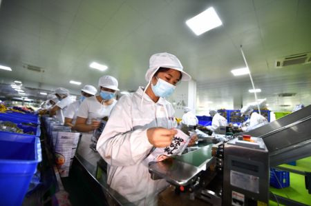 (miniature) Des travailleurs emballent des nouilles de riz Luosifen dans une entreprise agroalimentaire à Liuzhou