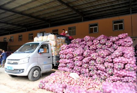 (miniature) Des travailleurs transf&egrave;rent des l&eacute;gumes dans un centre logistique du district de Zhongmu