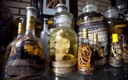 (miniature) alcool de serpent