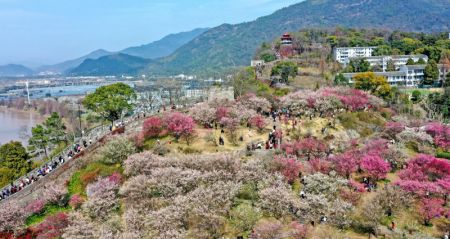 (miniature) Photo aérienne de touristes admirant des fleurs dans une zone touristique de la ville de Linhai