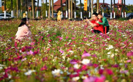 (miniature) Des gens prennent des photos au milieu des fleurs à Haikou