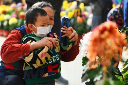 (miniature) Des visiteurs prennent des photos de chrysanth&egrave;mes lors d'une exposition organis&eacute;e dans un parc &agrave; Beijing