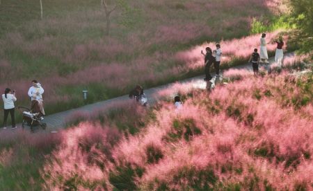 (miniature) Des touristes dans le parc écologique et forestier de Kunshan