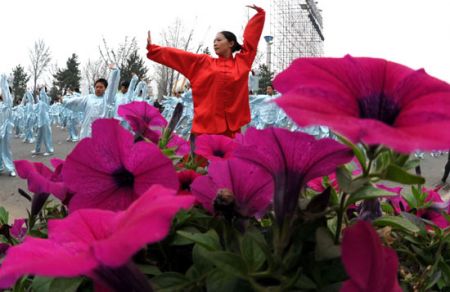 (miniature) Cangzhou, une ville à l'heure des Arts Martiaux