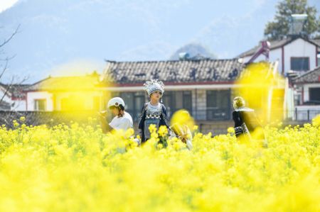 (miniature) Des touristes s'amusent dans un champ de colza de Xingyi