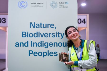 (miniature) Une membre du personnel tient une carte postale sur le thème du panda lors de la 29e session de la Conférence des parties à la Convention-cadre des Nations Unies sur les changements climatiques (COP29) à Bakou