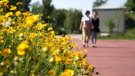 (miniature) Des touristes visitent un projet de parc écologique qui présente le paysage écologique le long de la rivière Laozhang