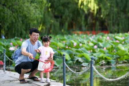 (miniature) Des gens s'amusent dans le parc de Qingcheng