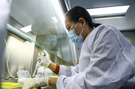 (miniature) Une technicienne teste des &eacute;chantillons de cultures dans un laboratoire du district de Xingye