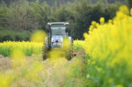 (miniature) Un villageois laboure un champ à l'aide d'un tracteur dans le village d'Ertang du district de Dayu