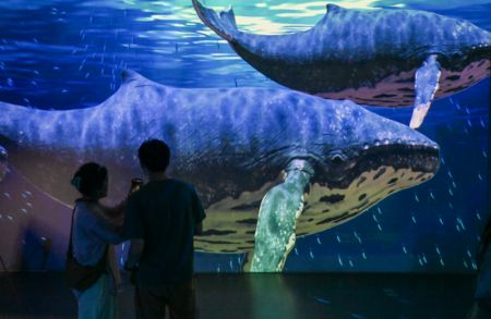 (miniature) Des visiteurs regardent des baleines virtuelles lors d'une exposition sur le thème des baleines au Musée maritime national de Chine