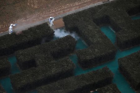(miniature) Des membres du personnel de pr&eacute;vention de l'&eacute;pid&eacute;mie proc&egrave;dent &agrave; la d&eacute;sinfection du quartier r&eacute;sidentiel de Ronghui de Tiangongyuan