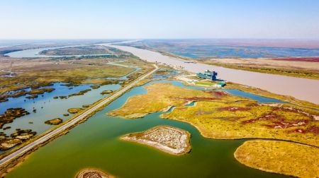 (miniature) Photo aérienne du paysage de la réserve naturelle nationale du Delta du fleuve Jaune