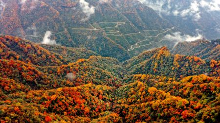 (miniature) Photo aérienne de la zone touristique de Longtoushan à Hanzhong