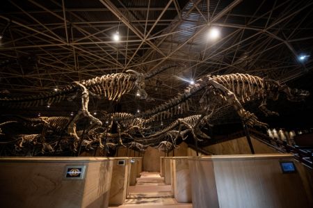 (miniature) Une vue de la carri&egrave;re de fossiles de dinosaures de Lufeng