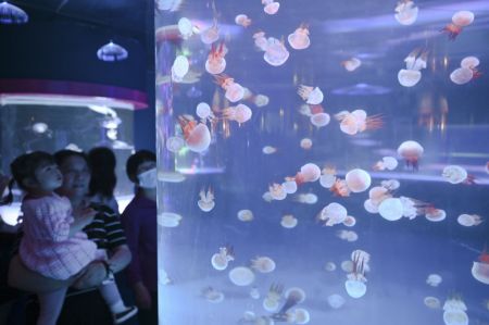 (miniature) Des gens visitent un aquarium &agrave; Fuzhou