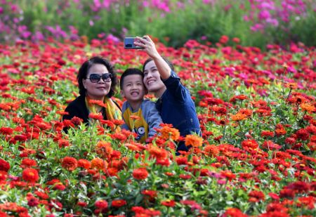 (miniature) Des touristes visitent un manoir à Beijing