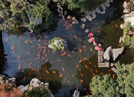 (miniature) Un étang dans le jardin de Qinghui à Shunde