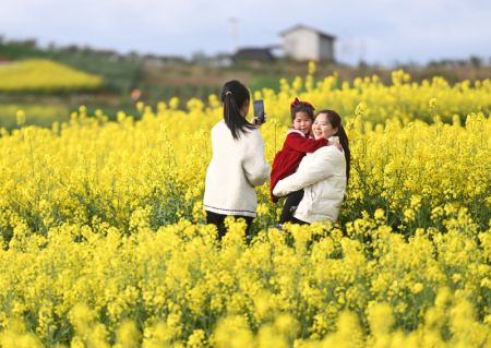 (miniature) Des touristes prennent des photos dans un champs de fleurs de colza dans le district de Yangxian