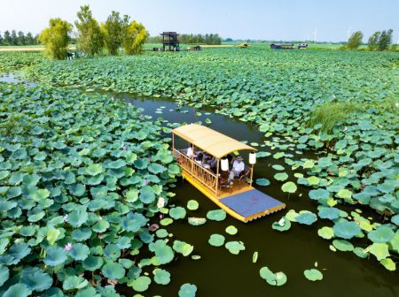 (miniature) Photo prise par un drone de touristes dans un étang de lotus à Xinghua