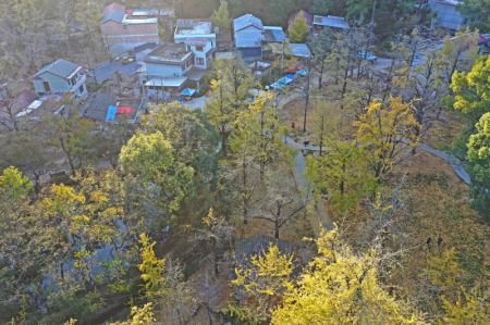 (miniature) Photo aérienne prise le 26 novembre 2021 montrant le paysage rural du bourg de Haiyang du district de Lingchuan