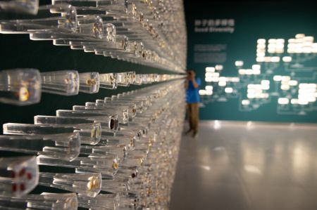 (miniature) Un mur présentant la diversité des semences lors d'une exposition organisée par l'Académie des sciences de Chine (ASC) à Kunming