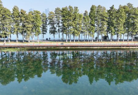 (miniature) Une personne fait du vélo le long d'une voie verte dans la zone panoramique du lac Donghu