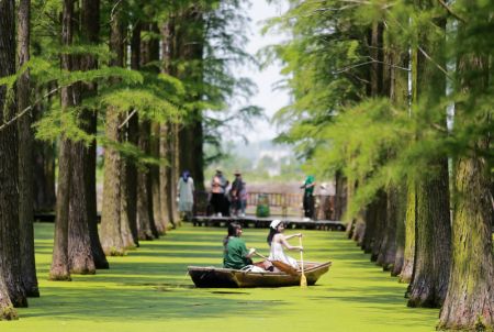 (miniature) Photo de touristes ramant sur des bateaux dans le Parc de zones humides du lac Luyang