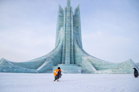 (miniature) Des manchots venant du Parc polaire de Harbin dans le Monde de glace et de neige de Harbin