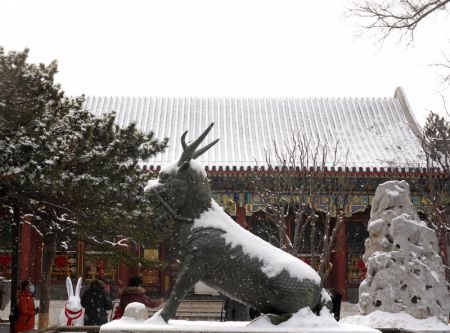 (miniature) Des personnes visitent le Palais d'été enneigé à Beijing