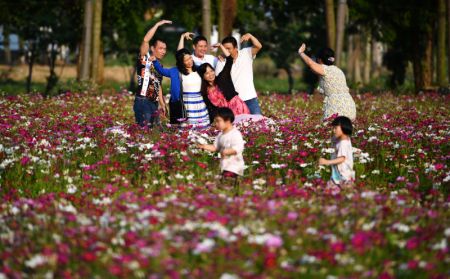 (miniature) Des gens prennent des photos au milieu des fleurs &agrave; Haikou