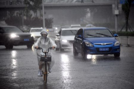 (miniature) Une personne conduit son vélo sous la pluie dans l'arrondissement de Haidian