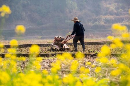 (miniature) Un agriculteur travaille dans un champ dans le village de Zhaiya du district de Fengshan