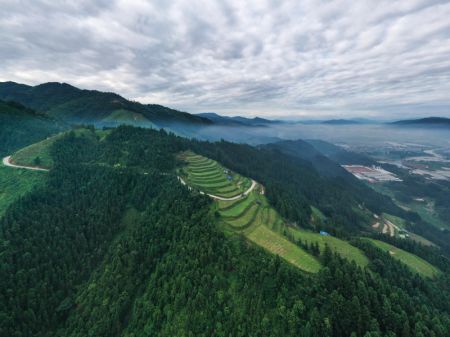 (miniature) Photo aérienne de champs de pastèques dans le bourg de Zhongcheng