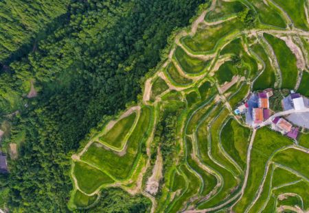 (miniature) Photo aérienne montrant des paysages du village de Bayi dans l'arrondissement de Wanzhou à Chongqing (sud-ouest de la Chine)